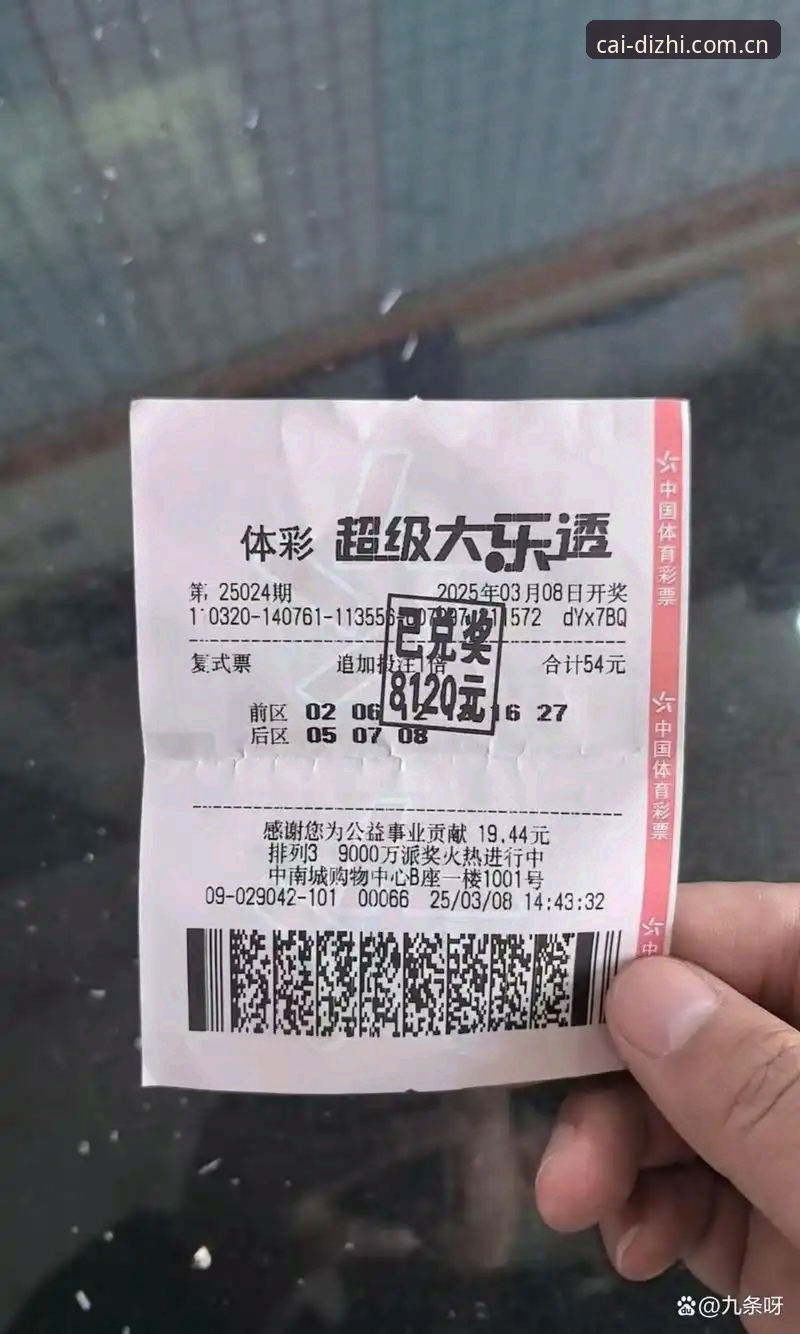 揭秘大发彩票官方版本背后的真相：新手必看的下载与安装全攻略